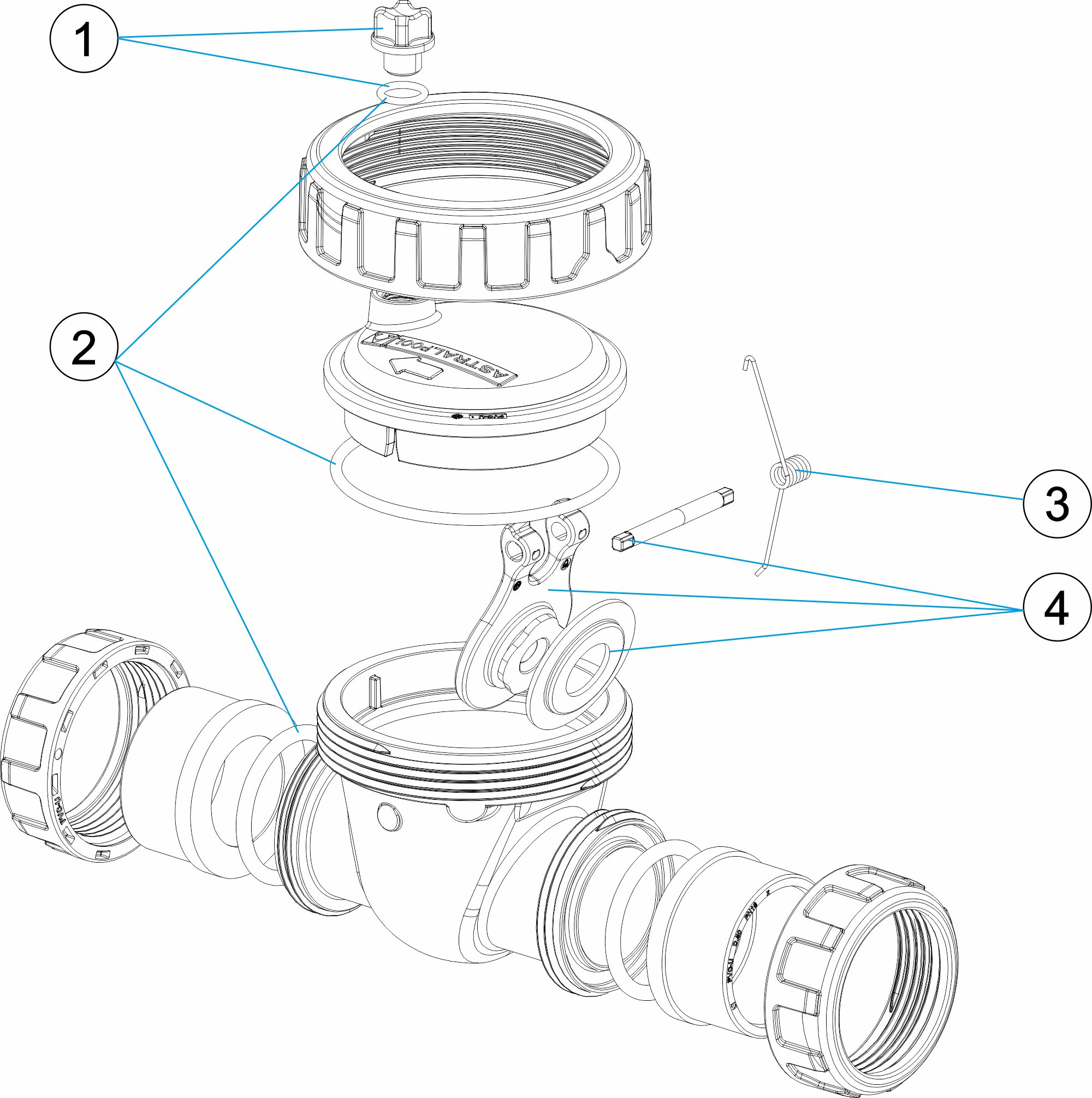 VÁLVULA SWING CHECK CON MUELLE Ø50